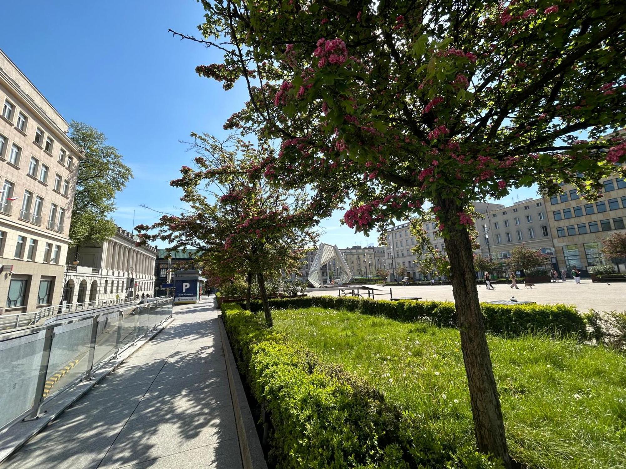 Apartamenty Pl. Wolnosci 6 波兹南 外观 照片